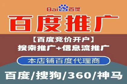 百度竞价运营的挑战与机遇：成功案例探讨